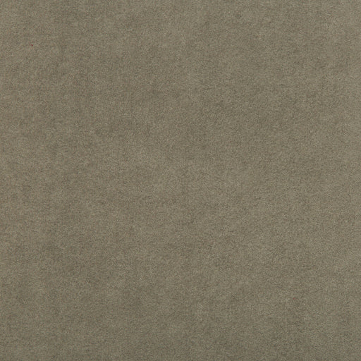 KRAVET DESIGN - ULTRASUEDE GREEN- OATMEAL - Fabric by the Yard OATMEAL