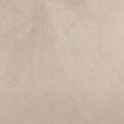 Charlotte - 3081 - Fawn - Fabric by the Yard Fawn