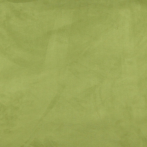 Charlotte - 3085 - Spring - Fabric by the Yard Spring