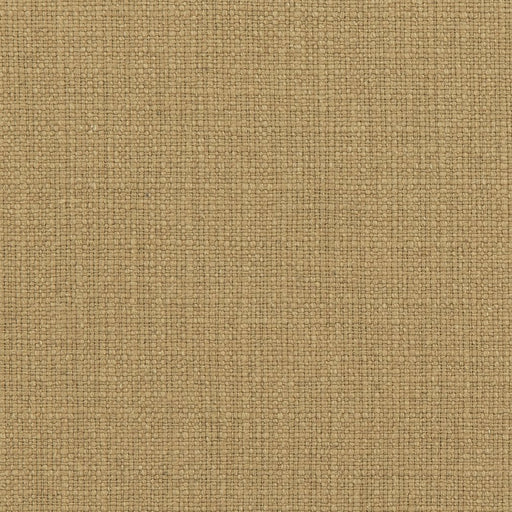 Charlotte - 31000-05 - Fabric by the Yard 31000-05