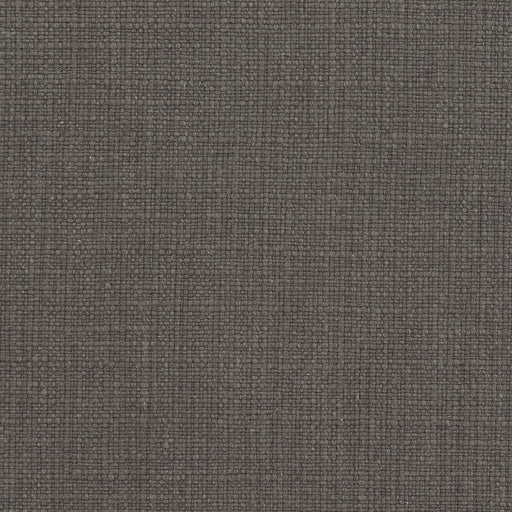Charlotte - 31000-06 - Fabric by the Yard 31000-06