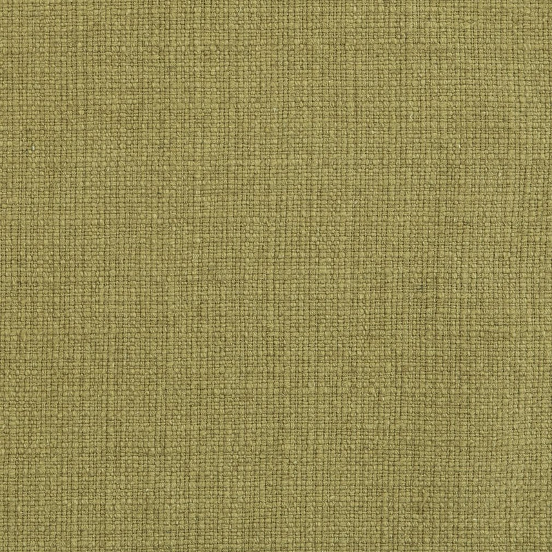 Charlotte - 31000-19 - Fabric by the Yard 31000-19