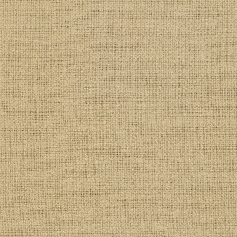 Charlotte - 31000-20 - Fabric by the Yard 31000-20