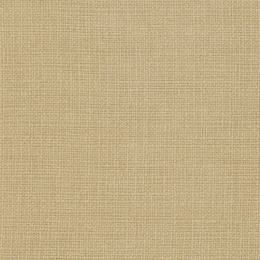 Charlotte - 31000-20 - Fabric by the Yard 31000-20