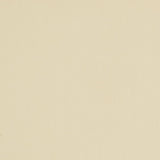 Charlotte - 3100 - Oyster - Fabric by the Yard