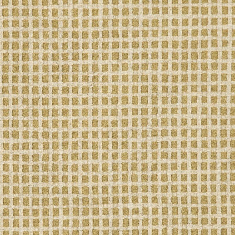 Charlotte - 31020-05 - Fabric by the Yard 31020-05