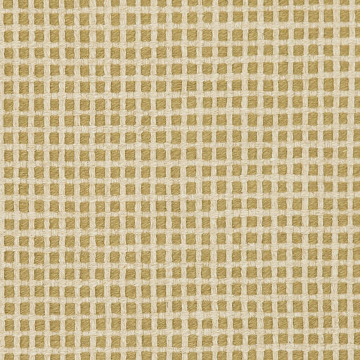 Charlotte - 31020-05 - Fabric by the Yard 31020-05
