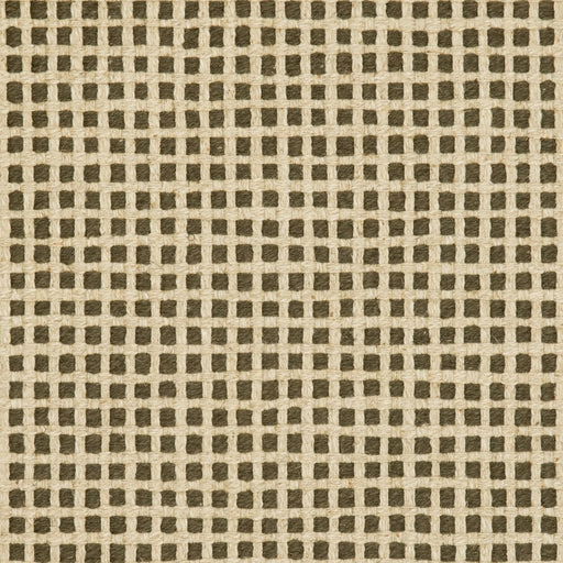 Charlotte - 31020-07 - Fabric by the Yard 31020-07