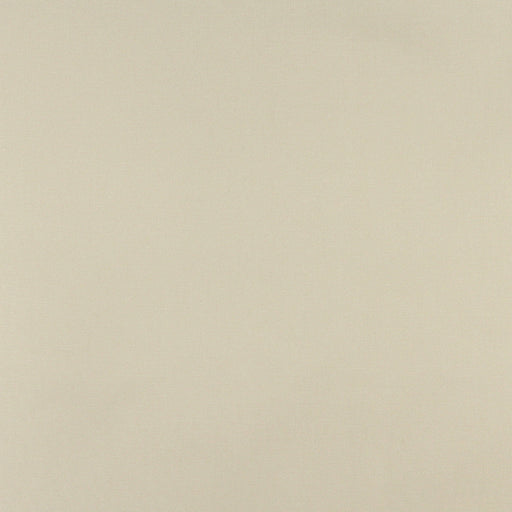 Charlotte - 3108 - Celery - Fabric by the Yard Celery