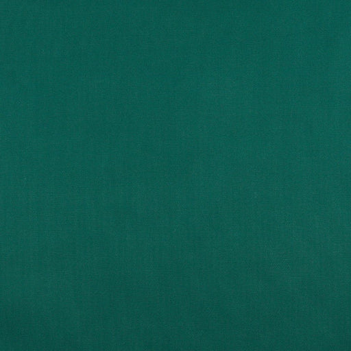 Charlotte - 3111 - Rainforest - Fabric by the Yard Rainforest