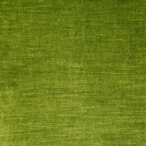 KRAVET DESIGN - VENETIAN- GRASS - Fabric by the Yard GRASS