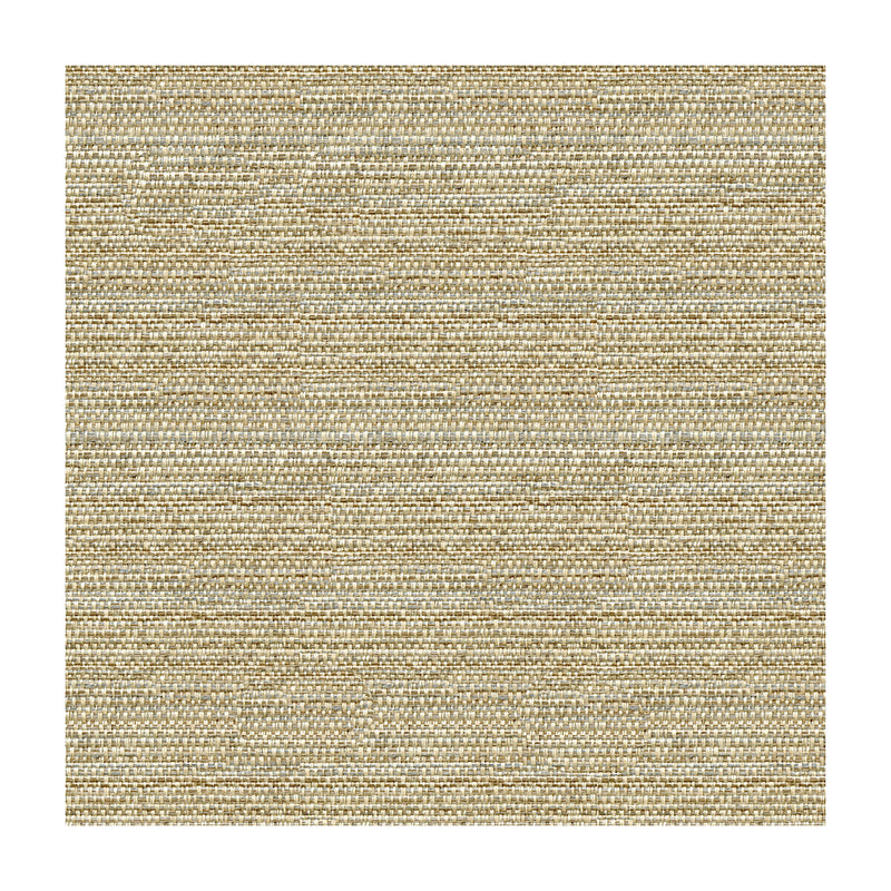 KRAVET COUTURE - KRAVET COUTURE- 31695-1611 - Fabric by the Yard 31695-1611