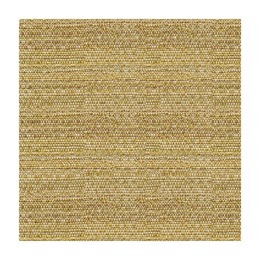 KRAVET COUTURE - KRAVET COUTURE- 31695-416 - Fabric by the Yard 31695-416