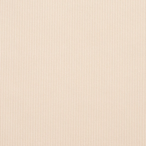 Charlotte - 3188 - Ivory - Fabric by the Yard Ivory