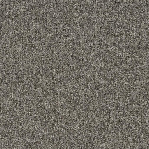 Charlotte - 3200 - Graphite - Fabric by the Yard Graphite
