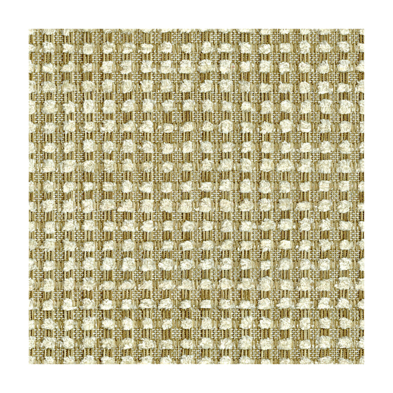 KRAVET DESIGN - BUBBLE TEA- CHAMPAGNE - Fabric by the Yard CHAMPAGNE