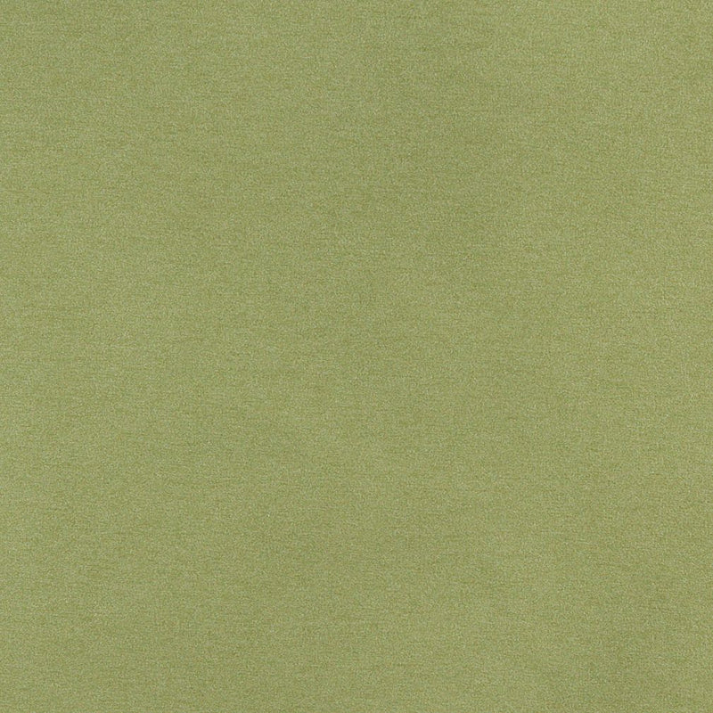 Charlotte - 3204 - Spring - Fabric by the Yard Spring