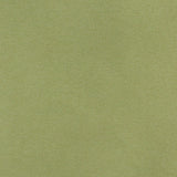 Charlotte - 3204 - Spring - Fabric by the Yard