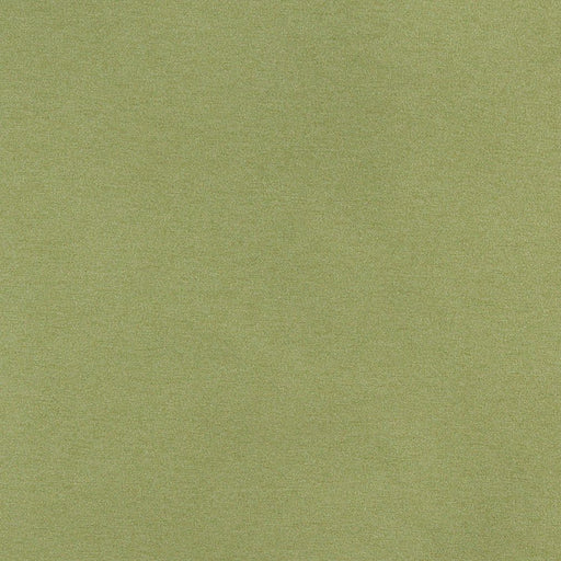 Charlotte - 3204 - Spring - Fabric by the Yard Spring