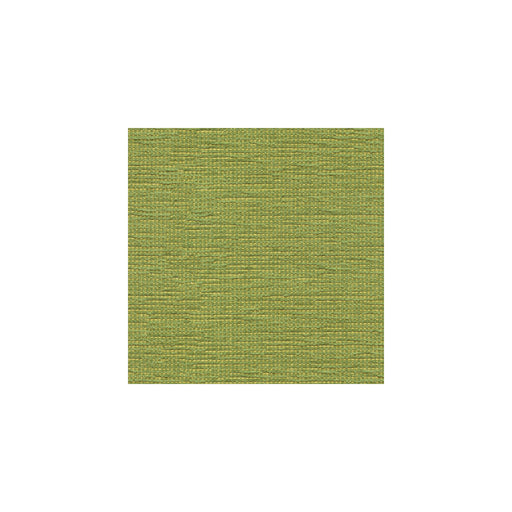 KRAVET CONTRACT - 32931 - CATO - Fabric By the Yard