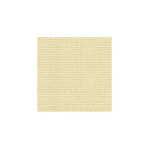KRAVET SMART - KRAVET SMART- 32946-1 - Fabric by the Yard 32946-1