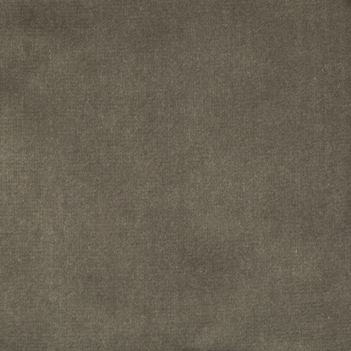 KRAVET COUTURE - VELVET TREAT- GREY - Fabric by the Yard GREY