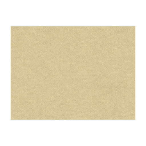 KRAVET DESIGN - KRAVET DESIGN- 33125-1111 - Fabric by the Yard 33125-1111