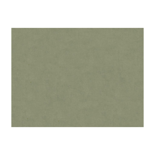 KRAVET DESIGN - KRAVET DESIGN- 33125-1130 - Fabric by the Yard 33125-1130