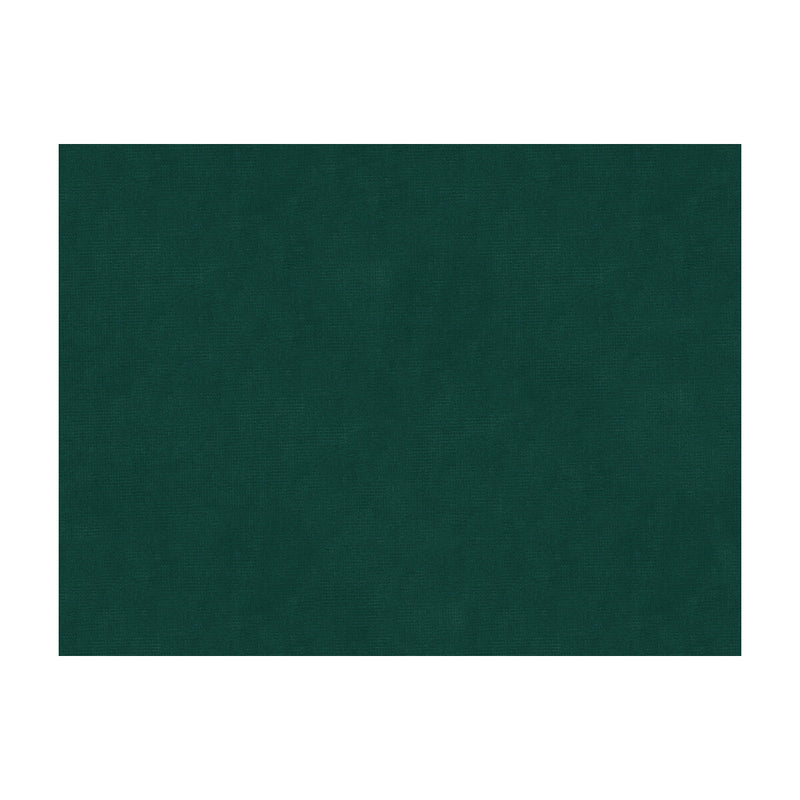 KRAVET DESIGN - KRAVET DESIGN- 33125-35 - Fabric by the Yard 33125-35