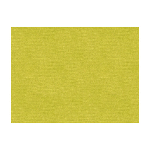 KRAVET DESIGN - KRAVET DESIGN- 33125-3 - Fabric by the Yard 33125-3
