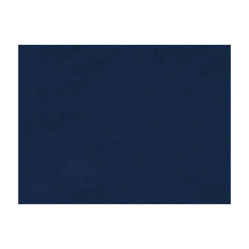 KRAVET DESIGN - KRAVET DESIGN- 33125-505 - Fabric by the Yard 33125-505