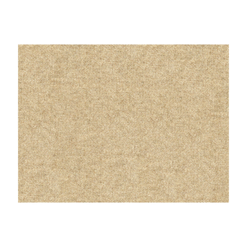 KRAVET COUTURE - KRAVET COUTURE- 33127-1116 - Fabric by the Yard 33127-1116