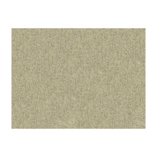 KRAVET COUTURE - KRAVET COUTURE- 33127-1611 - Fabric by the Yard 33127-1611