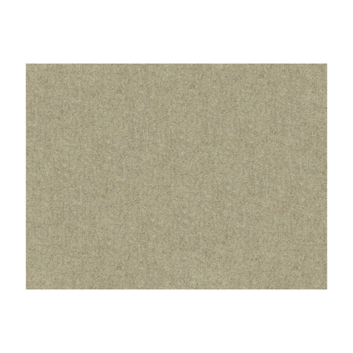 KRAVET COUTURE - KRAVET COUTURE- 33127-6116 - Fabric by the Yard 33127-6116