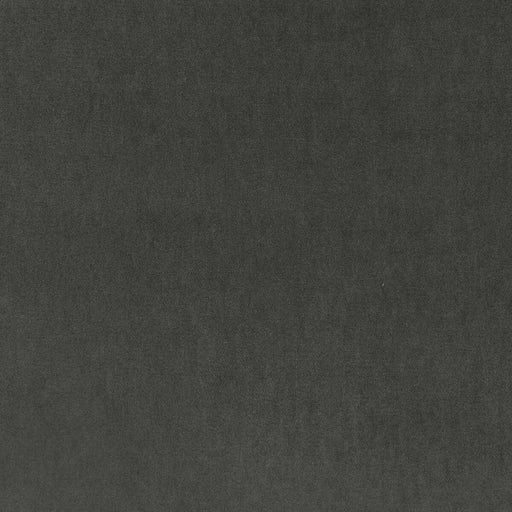 KRAVET BASICS - KRAVET BASICS- 33299-21 - Fabric by the Yard 33299-21