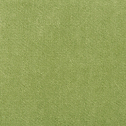 KRAVET BASICS - KRAVET BASICS- 33299-303 - Fabric by the Yard 33299-303