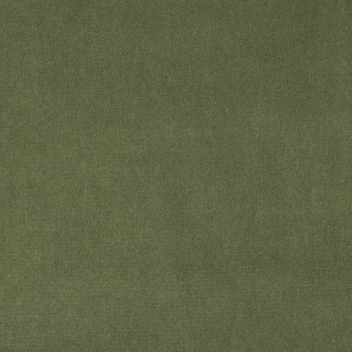 KRAVET BASICS - KRAVET BASICS- 33299-313 - Fabric by the Yard 33299-313