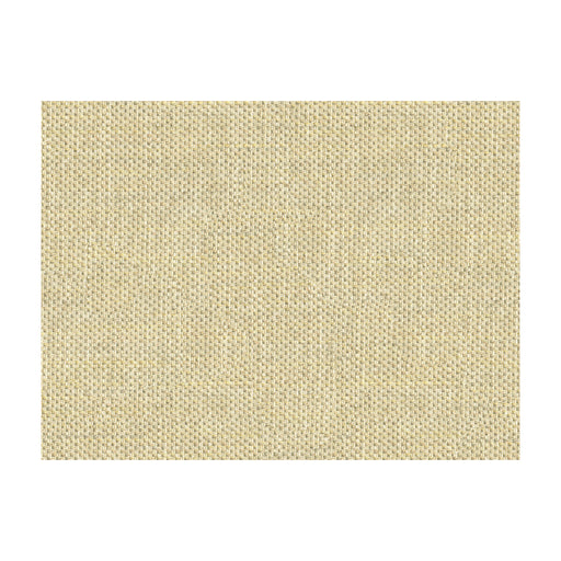 KRAVET COUTURE - DO THE HUSTLE- PLATINUM - Fabric by the Yard PLATINUM