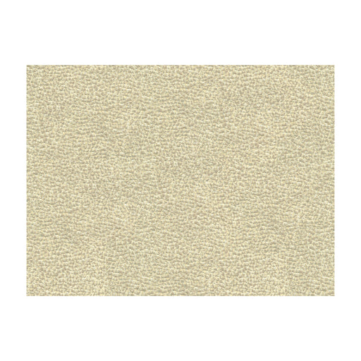 KRAVET COUTURE - 33456 - SHAGREEN LUXURY - Fabric By the Yard