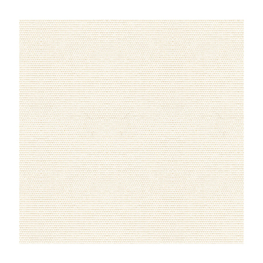 KRAVET DESIGN - COVER- SALT - Fabric by the Yard SALT
