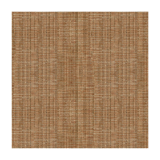 KRAVET COUTURE - 33646 - ARID STRIE - Fabric By the Yard