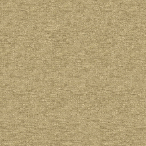 KRAVET SMART - KRAVET SMART- 33831-1616 - Fabric by the Yard 33831-1616