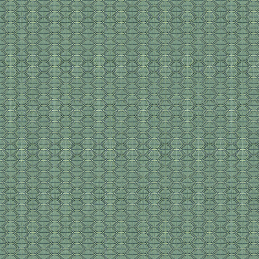 KRAVET CONTRACT - 33862 - NZURI - Fabric By the Yard