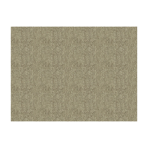 KRAVET CONTRACT - KRAVET CONTRACT- 33877-811 - Fabric by the Yard 33877-811