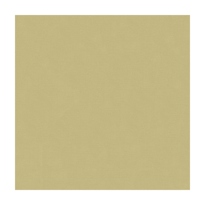 KRAVET COUTURE - KRAVET COUTURE- 33886-1106 - Fabric by the Yard 33886-1106