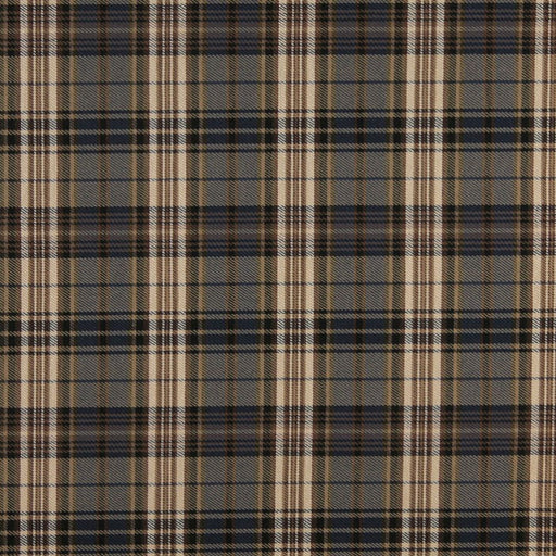 Charlotte - 3390 - Cambridge - Fabric by the Yard Cambridge