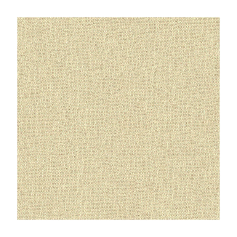 KRAVET COUTURE - KRAVET COUTURE- 34074-111 - Fabric by the Yard 34074-111
