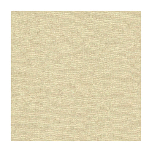 KRAVET COUTURE - KRAVET COUTURE- 34074-111 - Fabric by the Yard 34074-111