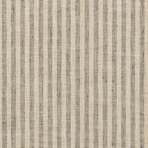 KRAVET BASICS - KRAVET BASICS- 34080-1621 - Fabric by the Yard 34080-1621