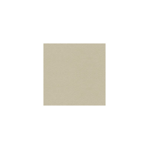 KRAVET DESIGN - 34121 - SUEDE TEXTURE - Fabric By the Yard